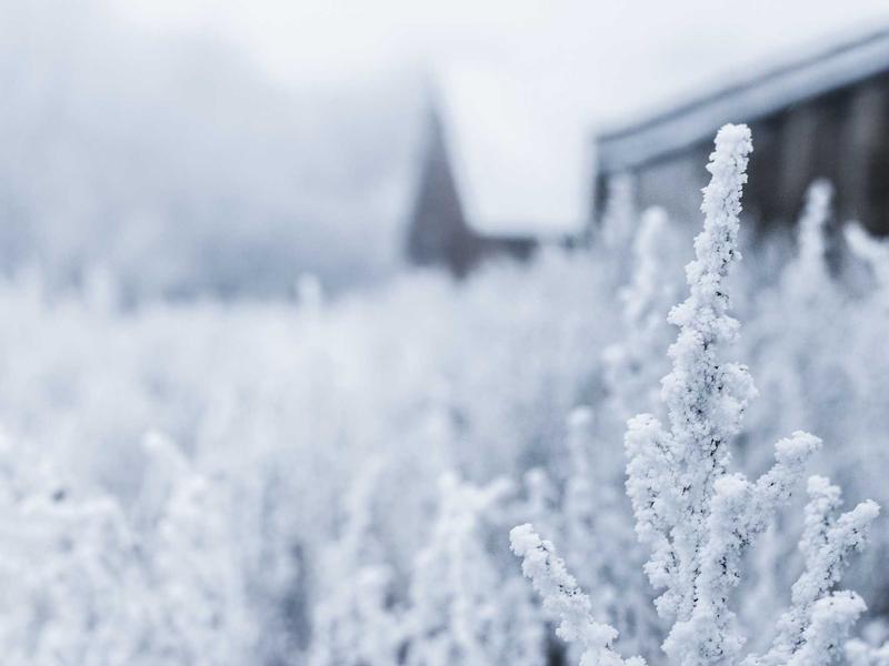 煮雪烹茶<br>qye0khhf.cn 围炉夜话雅集